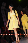 Filename=T20_Dress_030.jpg
Filesize=145KiB
Dimensions=800x1204
Date added=Apr 03, 2014 T20_Dress_030.jpg