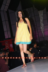 T20_Dress_032.jpg