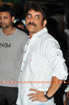 Filename=T20_practice3_029.jpg
Filesize=194KiB
Dimensions=800x1203
Date added=Apr 03, 2014 T20_practice3_029.jpg