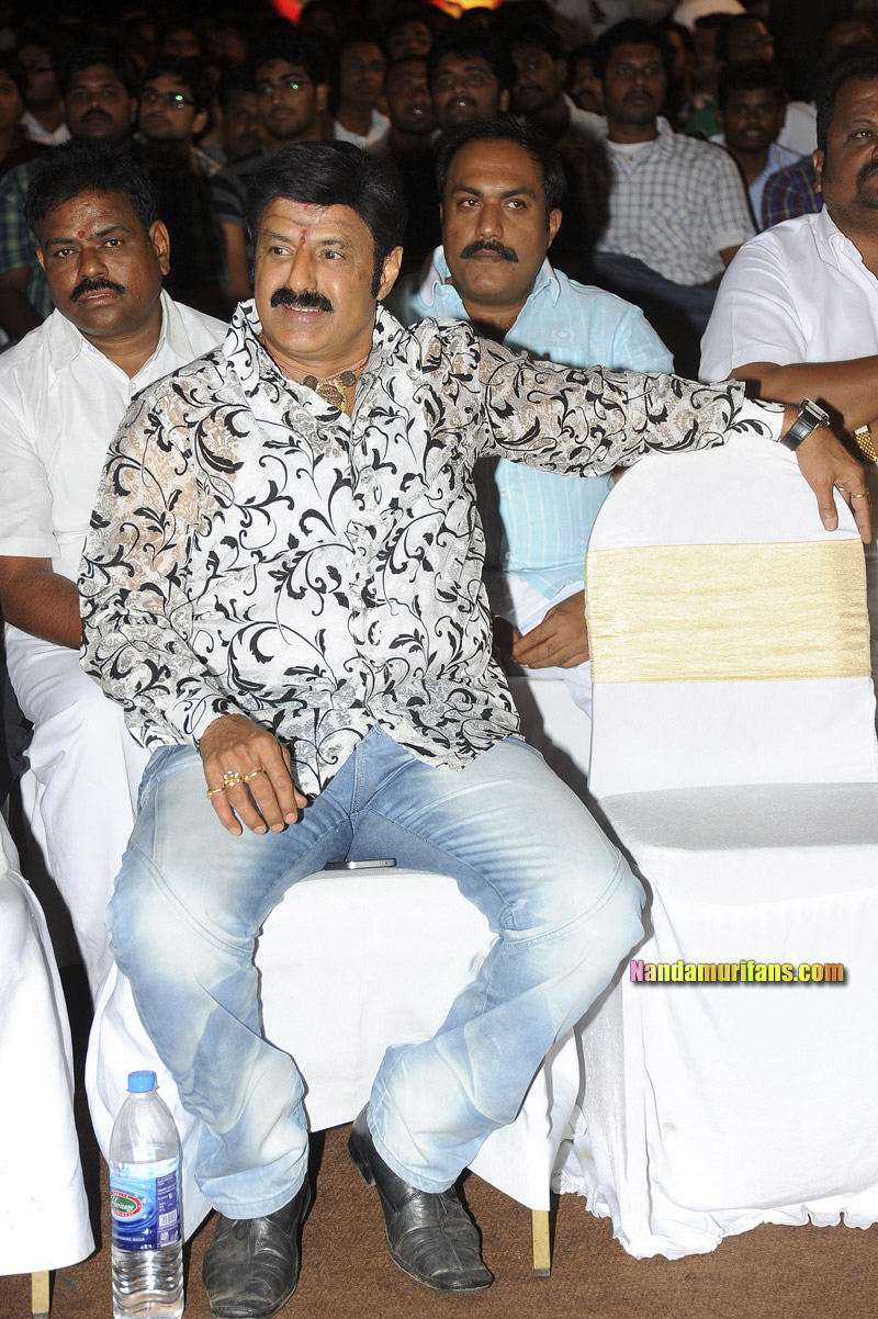 Adhinayakudu_TPD_008.jpg