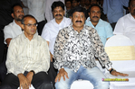Filename=Adhinayakudu_TPD_046.jpg
Filesize=229KiB
Dimensions=1000x666
Date added=Apr 04, 2014 Adhinayakudu_TPD_046.jpg