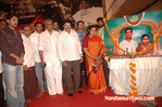 Filename=Venkatadri-audio-042.jpg
Filesize=142KiB
Dimensions=700x465
Date added=Apr 03, 2014 Venkatadri-audio-042.jpg