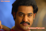 yamadonga_015.jpg