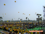 Filename=YG-Live-079.jpg
Filesize=136KiB
Dimensions=700x525
Date added=Apr 03, 2014 YG-Live-079.jpg