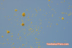 Filename=YG3-193.jpg
Filesize=49KiB
Dimensions=700x470
Date added=Apr 03, 2014 YG3-193.jpg